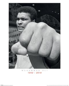Művészeti nyomat Muhammad Ali Commemorative - Punch