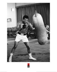 Művészeti nyomat Muhammad Ali - Punch Bag, (60 x 80 cm)