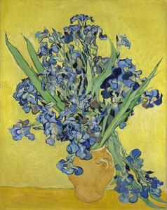 Reprodukció Irises, 1890, Vincent van Gogh