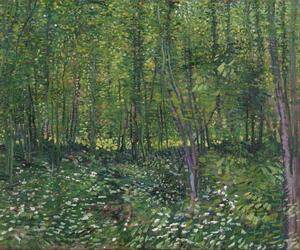 Reprodukció Trees and Undergrowth, 1887, Vincent van Gogh