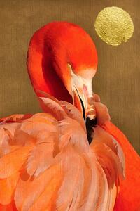 Illusztráció Flamingo With Golden Sun, Kubistika