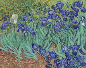 Reprodukció Íriszek, Vincent van Gogh