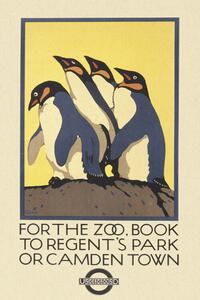 Reprodukció Vintage London Zoo Poster (Featuring Penguins)