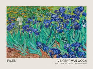 Reprodukció Irises (Museum Vintage Floral / Flower Landscape) - Vincent van Gogh