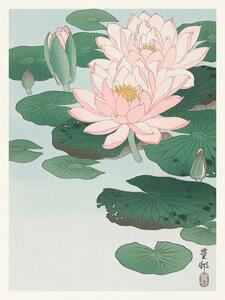 Reprodukció Water Lily / Lotus (Japandi Vintage) - Ohara Koson