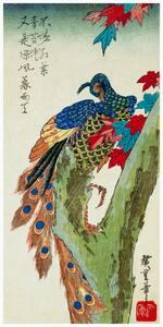 Reprodukció Peacock Perched on a Maple Tree (Japan) - Utagawa Hiroshige