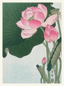 Reprodukció Blooming Lotus (Japandi Vintage) - Ohara Koson
