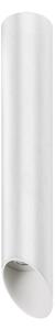 Italux Modern Spot lámpa Argon Fehér ITXSLC78008-M WH