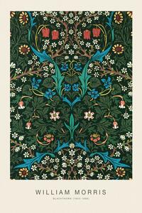 Reprodukció Blackthorn (Special Edition Classic Vintage Pattern) - William Morris