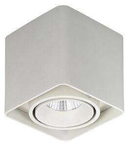 Italux Modern Spot lámpa Bonnie Fehér ITXSLC78004/10W WH