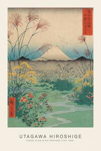 Reprodukció Ōtsuki Plain in Kai Province (Japanese Spring Landscape) - Utagawa Hiroshige