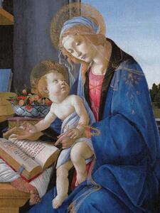 Reprodukció The Madonna & The Book - Sandro Botticelli, (30 x 40 cm)