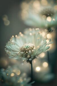 Fotográfia Mint Flower, Treechild, (26.7 x 40 cm)