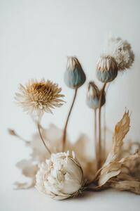 Fotográfia Dry Flower Impression, Treechild