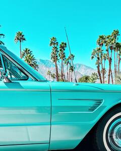 Fotográfia Teal Thunderbird in Palm Springs, Tom Windeknecht