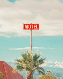 Fotográfia This Motel is for the Birds, Tom Windeknecht