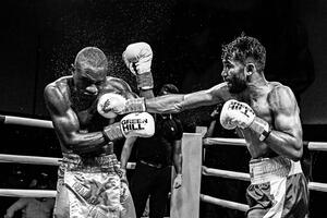 Fotográfia Boxing, Reza Mohammadi