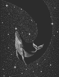 Illusztráció Starry Whale, Aliriza Cakir