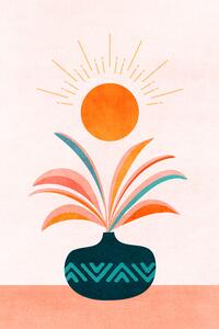 Illusztráció Sun Worship, Kristian Gallagher