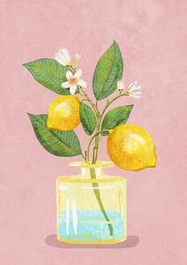 Illusztráció Lemon Bunch In Vase, Raissa Oltmanns