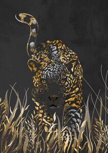 Illusztráció Black gold jaguar in grass, Sarah Manovski