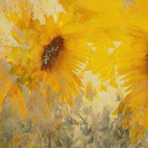 Illusztráció Sunflower, Nel Talen
