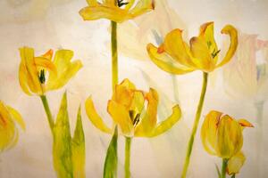 Illusztráció Flowering tulips, Nel Talen