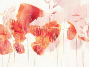 Illusztráció Modern poppies, Nel Talen