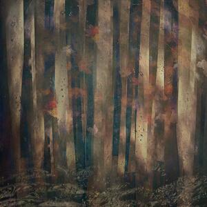Illusztráció Forest abstract, Nel Talen