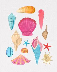 Illusztráció Seashells, Petra Lizde