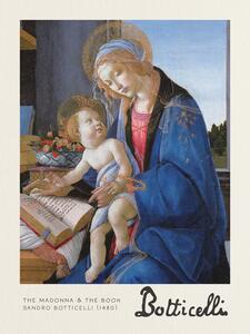 Reprodukció The Madonna & The Book - Sandro Botticelli, (30 x 40 cm)