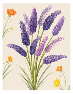 Illusztráció Purple flower, Bohonewart