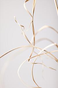 Fotográfia Dried Grass Grey 02, Studio Collection