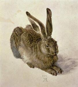 Albrecht Dürer - Reprodukció Hare, 1502, (35 x 40 cm)