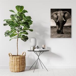 Gario Vászonkép Elefánt a szavannán Méret: 40 x 60 cm