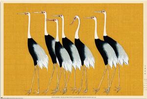 Plakát Ogata Korin - Flock of Beatiful Japanese Red Crown Crane, (91.5 x 61 cm)