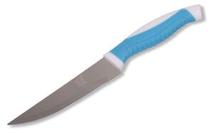 22 cm-es színes műanyag nyelű konyhai kés