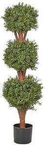 Műnövény BUXUS BALL TREE 120 cm Zöld