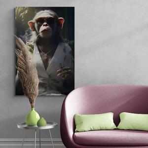 Kép állati gengszter majom