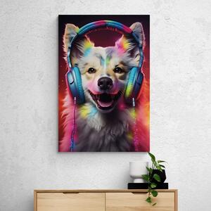Kép kutya fülhallgatóval