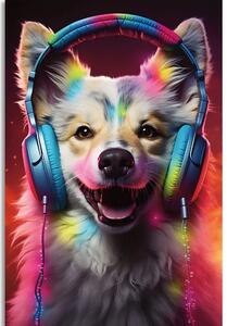 Kép kutya fülhallgatóval