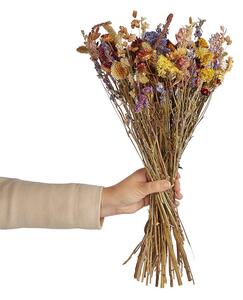 FLOWER MARKET szárított mezei virágcsokor, színes