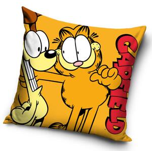 Garfield és barátja, Odie , 40 x 40 cm