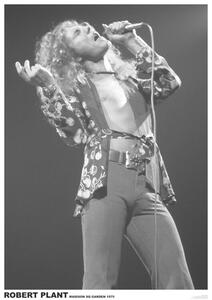 Plakát Led Zeppelin - Robert Plant March 1975 (colour)