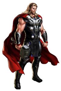 Falmatrica "Thor" 50x70cm