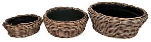 Drypot rattan ültetőtál szett barna 55x24cm S/3