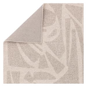 Krémszínű kézi szövésű gyapjú szőnyeg 200x290 cm Loxley – Asiatic Carpets