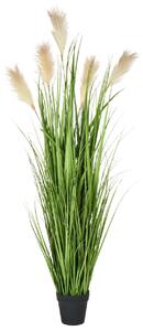 Műnövény PAMPAS GRASS 130 cm Zöld