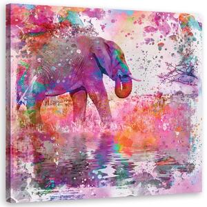 Gario Vászonkép Elefánt a színek között - Andrea Haase Méret: 30 x 30 cm