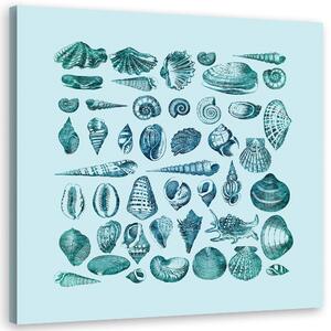 Gario Vászonkép Kék kis kagylók - Andrea Haase Méret: 30 x 30 cm